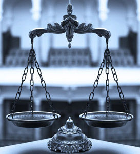 Administrative Law